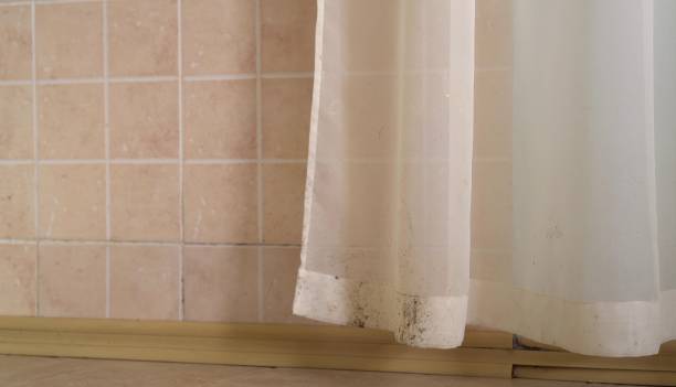 Best Mold Remediation for Healthcare Facilities  in Mineola, NY
