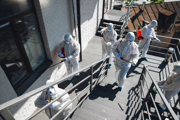 Best Dehumidification Services  in Mineola, NY