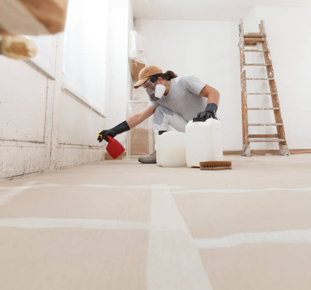 Best Indoor Air Quality Assessment  in Mineola, NY