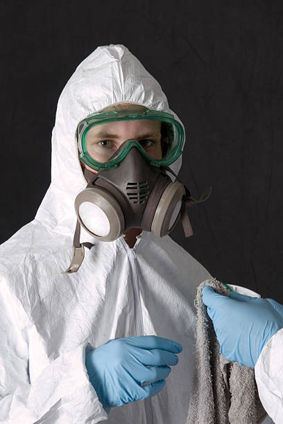Mineola, NY Mold Removal Company